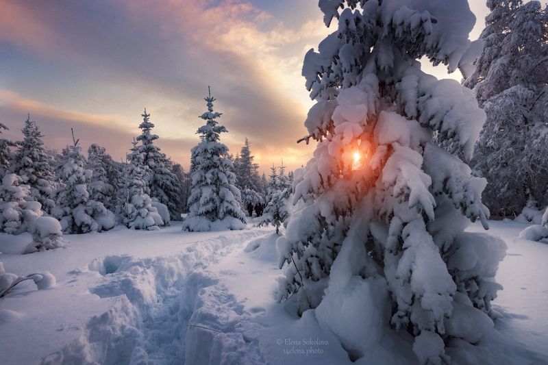 уван, лес, зима, горы Зимний вечерphoto preview