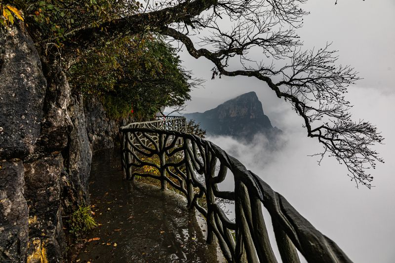 Китай. Туман. Горы. Дождь. Осень Парящие в облакахphoto preview