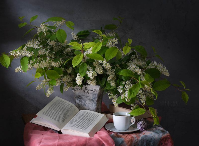 Lecturephoto preview