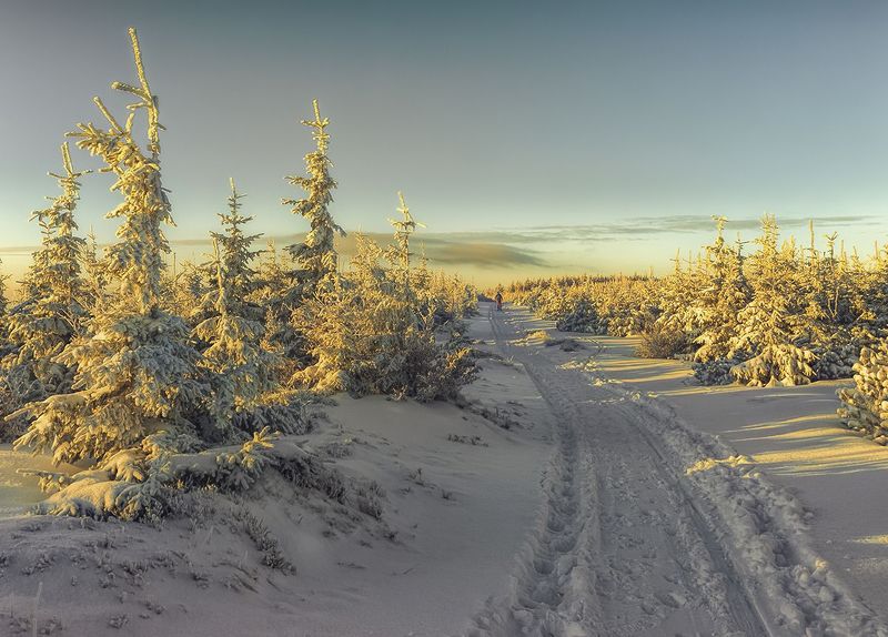 Zimowy poranekphoto preview