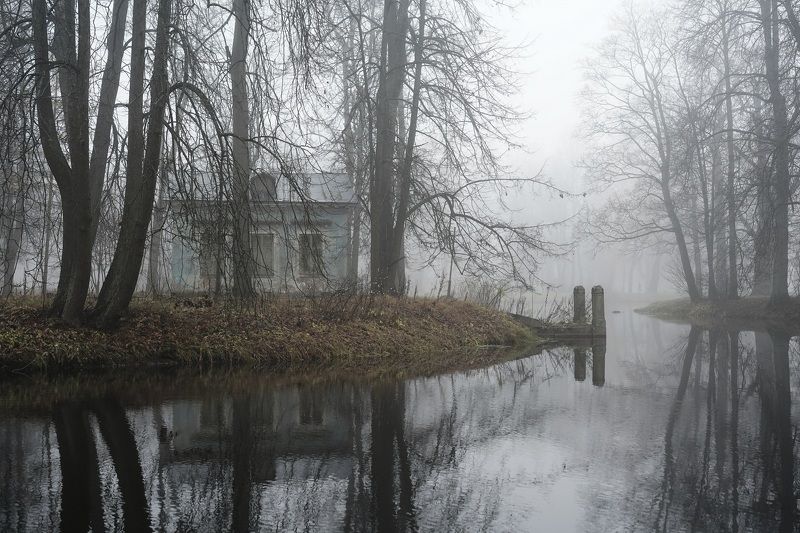 A morning in Novemberphoto preview