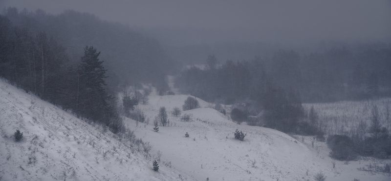 изборск, изборско-мальская долина, псковская область Заметаетphoto preview