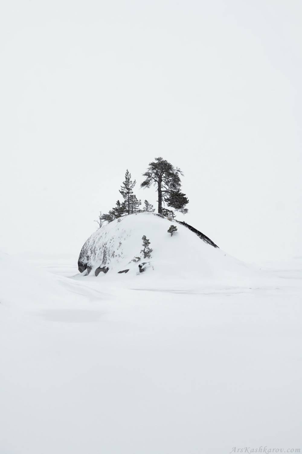 , Арсений Кашкаров