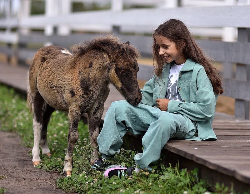 Дай вкусняшку!photo preview