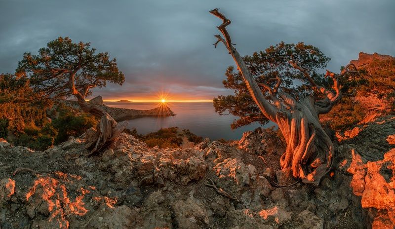 крым, новый свет, рассвет, декабрь На рассвете в Новом Светеphoto preview