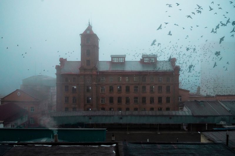 архитектура, туман, мельница, птицы, утро Туманное утро у мельницыphoto preview