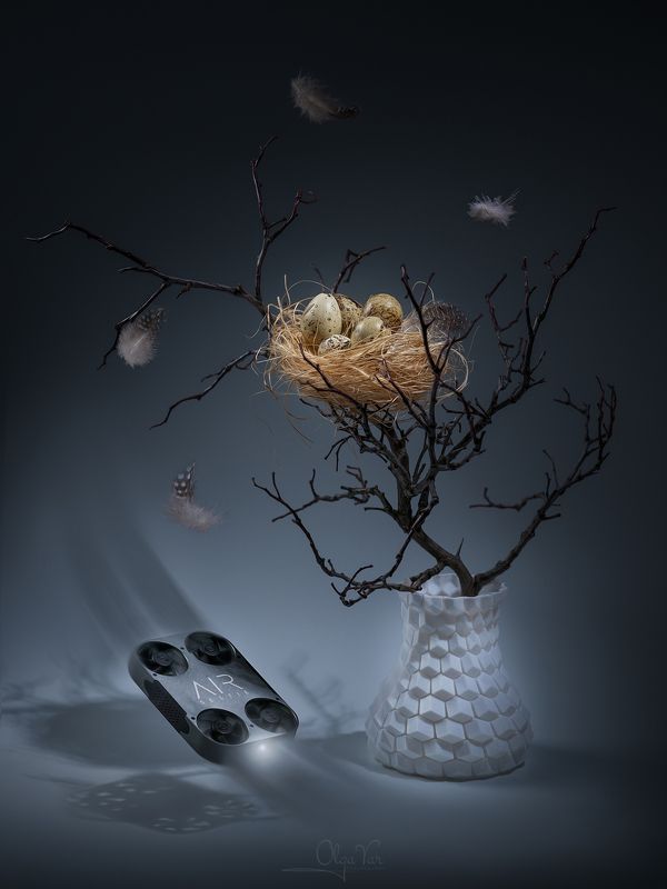дрон, ваза, перья, яйца, гнездо, ветки Пролетая над...photo preview
