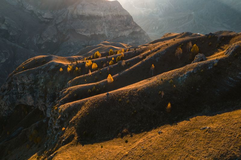 дагестан, осень, деревья, горы, пейзаж Золотая осень Дагестанских горphoto preview