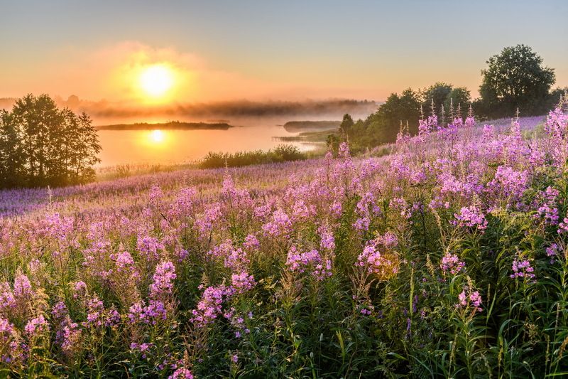 Сиреневое утроphoto preview