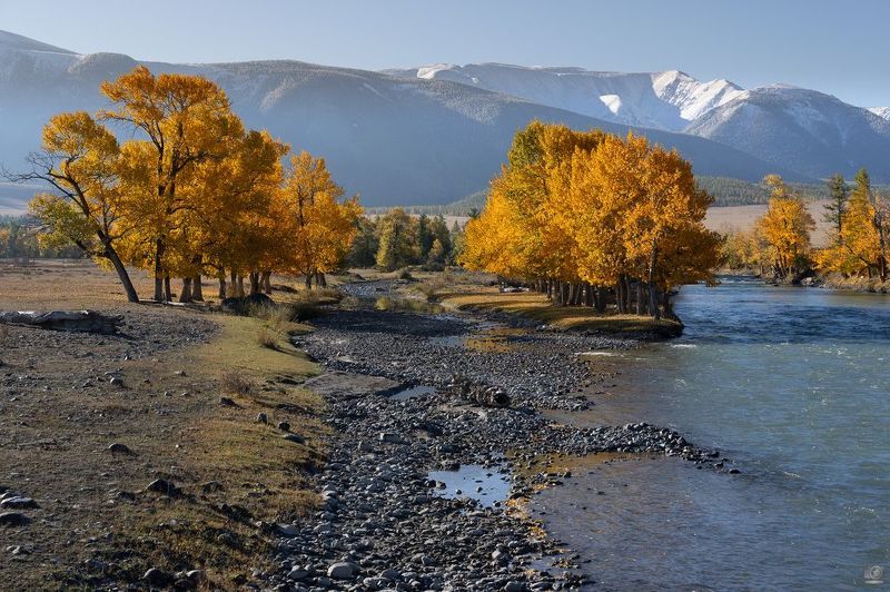 осень алтай На берегу реки Чуя в Курайской степиphoto preview