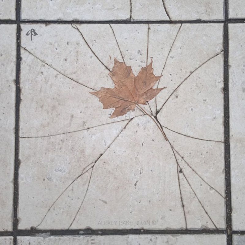 Нелёгкая осеньphoto preview