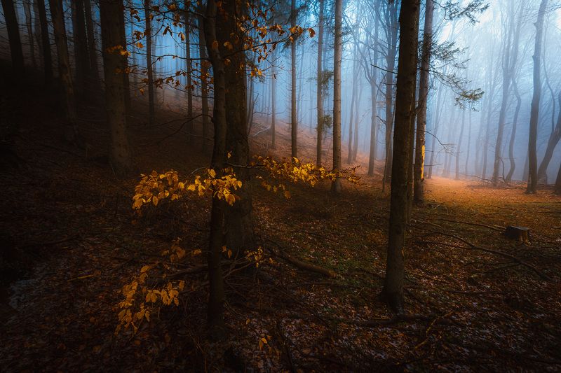 Осень в Болгарии / Autumn in Bulgariaphoto preview