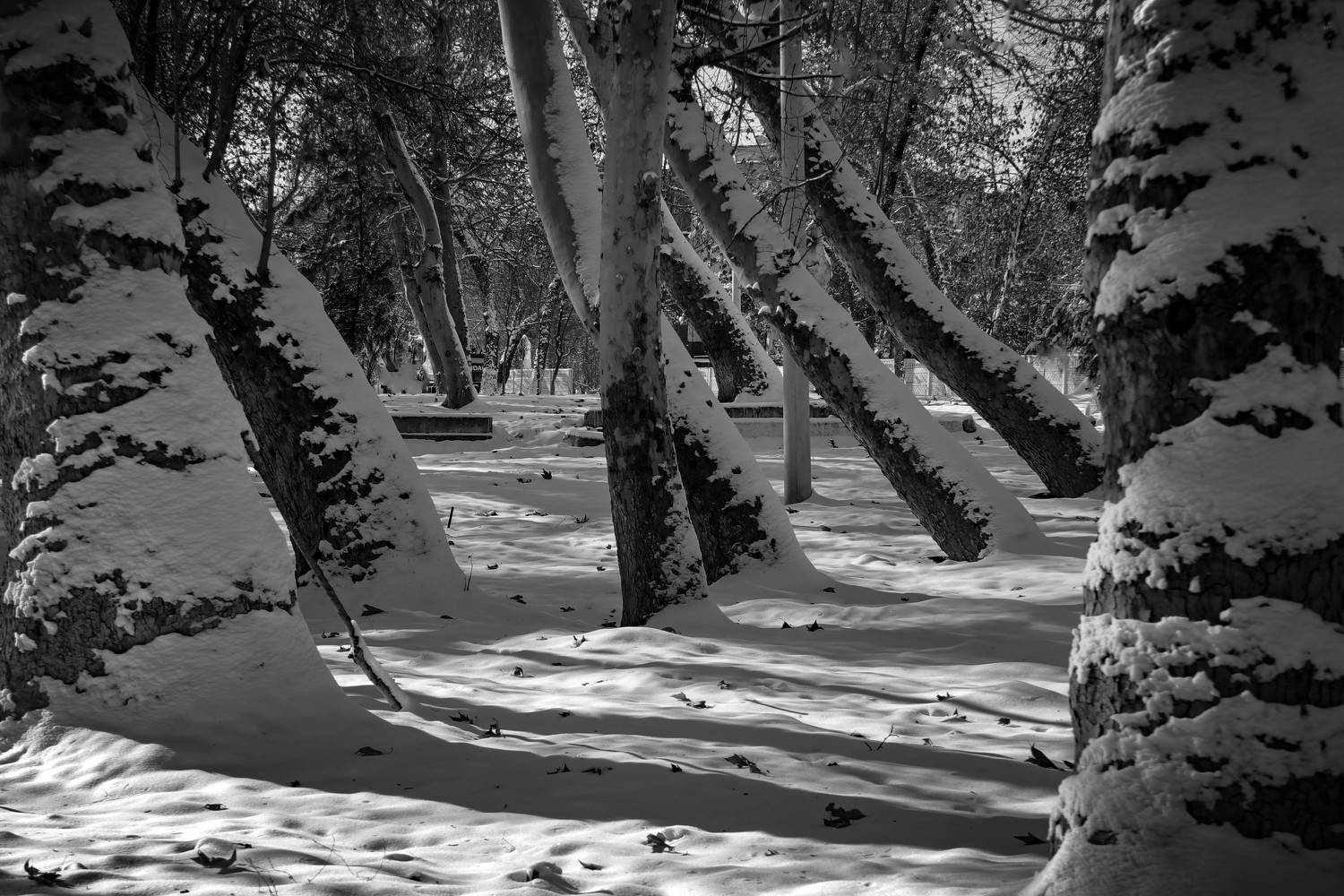 Автор: SaidArt , SaidArt