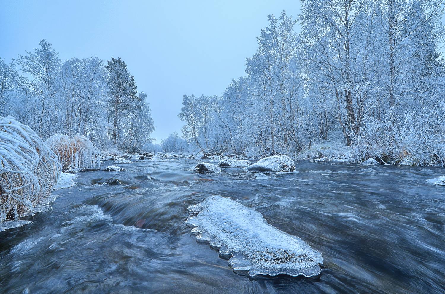 ***. Автор: Тихонов Сергей кольский, зима, р.валма, Тихонов Сергей