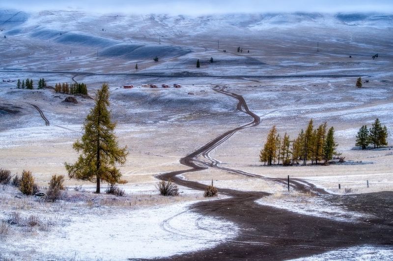алтай горы деревьяутро пейзаж красивый снег мороз Предзимьеphoto preview