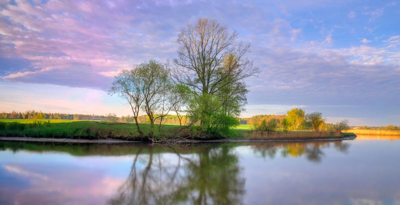 утро, весна, река, небо, деревья, Весеннее утроphoto preview