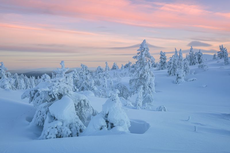 Пломбирное утро...photo preview