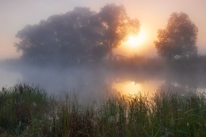 Безмятежность утраphoto preview