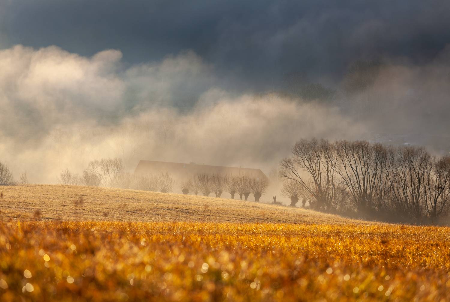 Автор: Mirosław Pruchnicki , Mirosław Pruchnicki