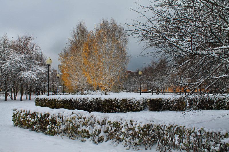 осень, октябрь, первый снег, сибирь, россия  фото превью