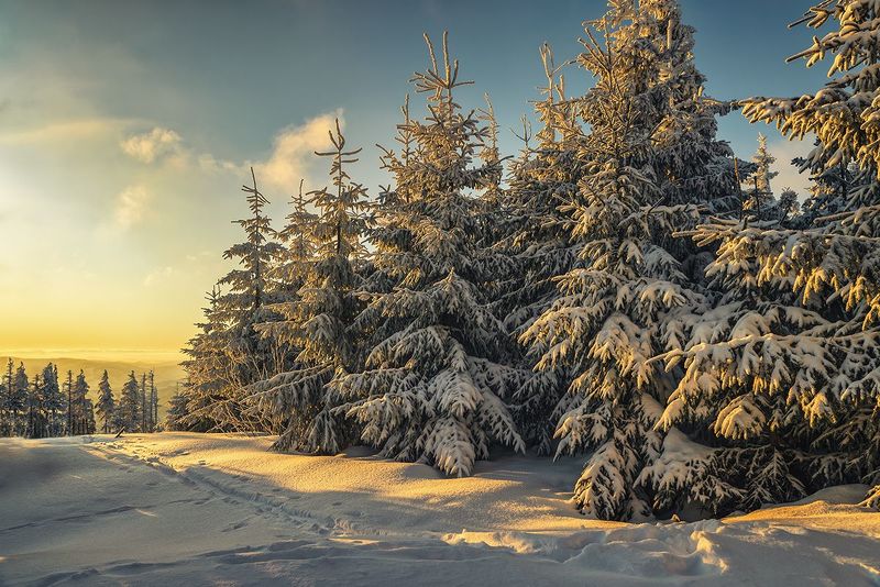 Zimowy poranekphoto preview