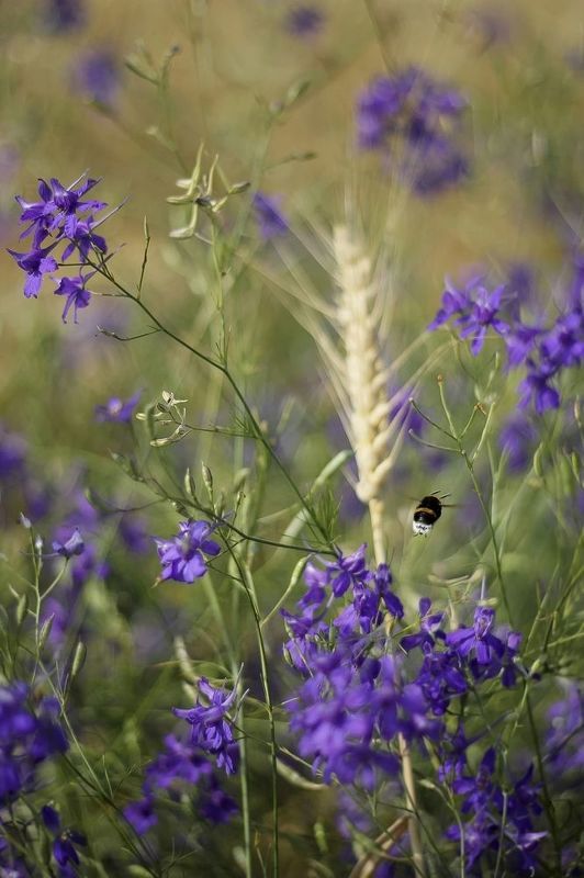 без оглядки..photo preview