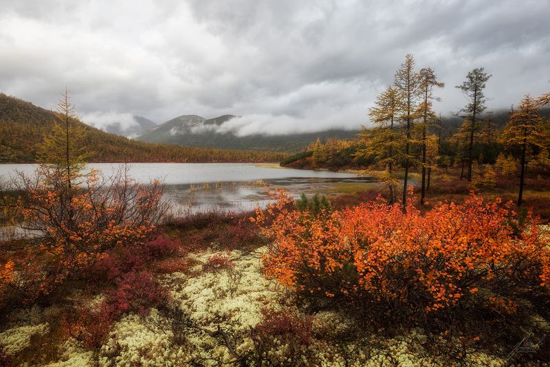 *** фото превью