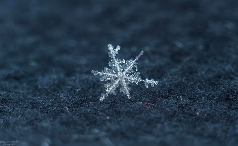 снежинка ,макро ,зима ,winter, macro ***photo preview