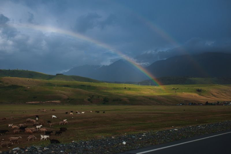 Восточный Казахстанphoto preview