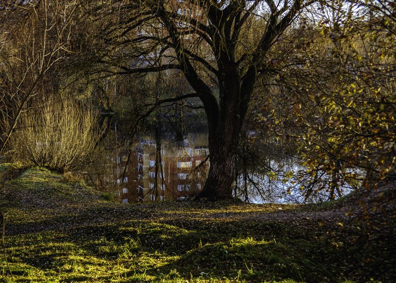 природа Краски осениphoto preview