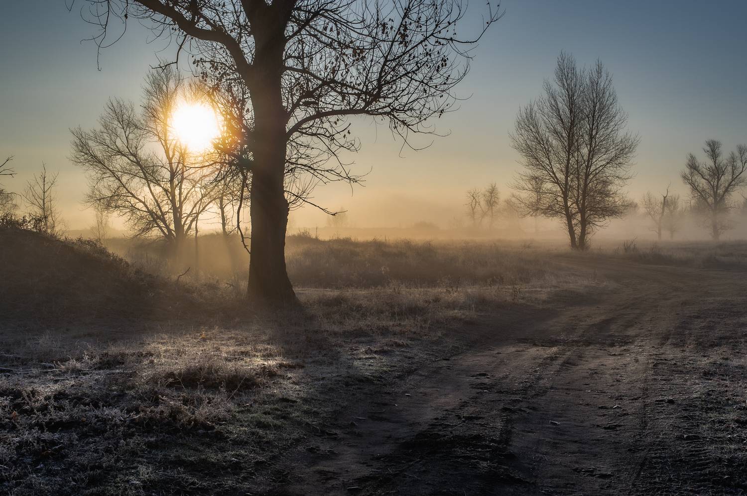 По пути. Автор: Vasilev Roman дорога,пейзаж,солнце, Vasilev Roman