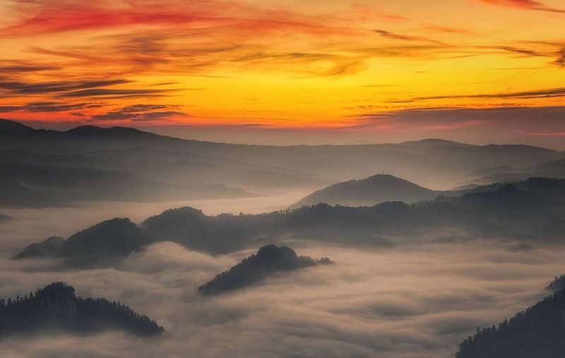 Mglisty poranekphoto preview