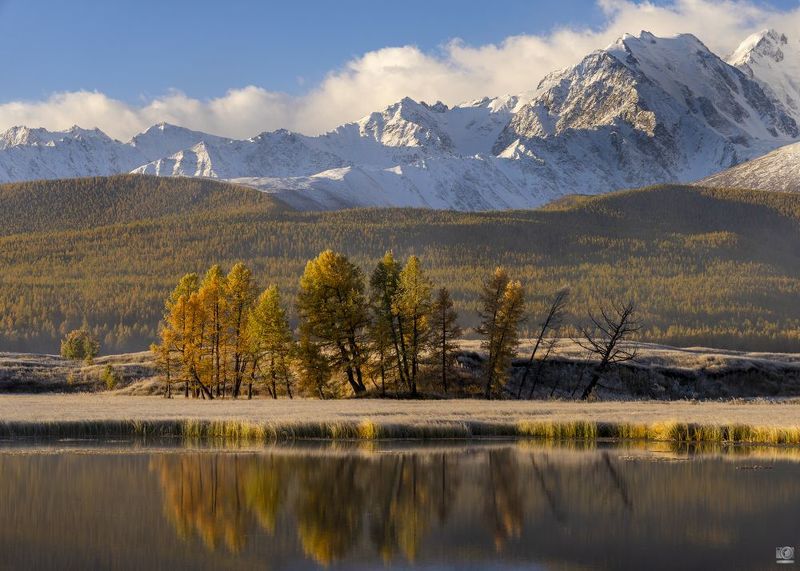 алтай Прекрасный Джангыскольphoto preview