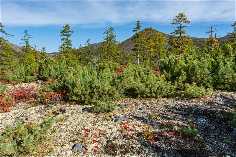 Знакомство с Джекомphoto preview