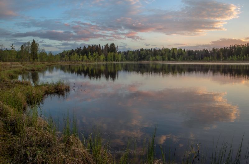 пейзаж, ленобласть, туман, landscape, nature, природа, foggy, forest, рассвет, болото, ленинградская область Майским у тром на болотахphoto preview