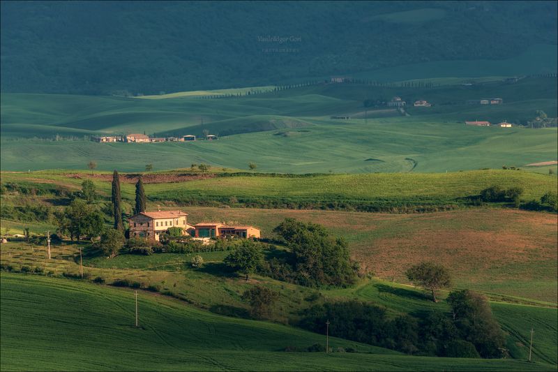 italy,san quirico d\\\'orcia,italia,италия,тоскана,pienza,кипарис,toscana,весна,tuscany,cipressi,belvedere,пьенца,тени Яркий лайм Тосканыphoto preview