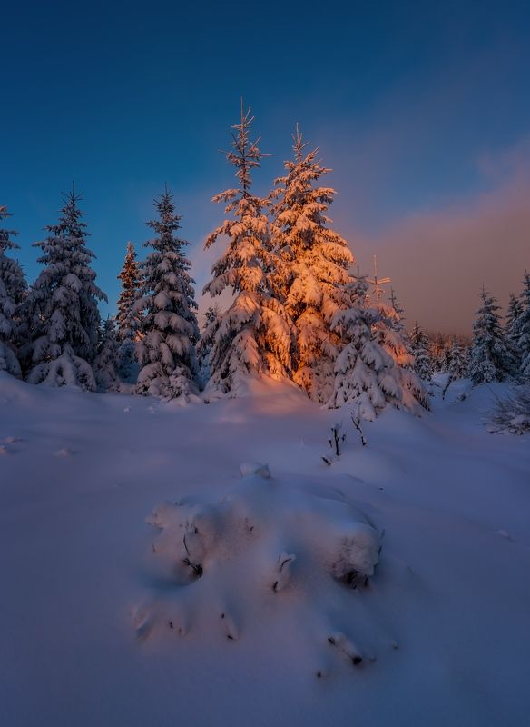 winter, landscape Last Light in the Mountainphoto preview