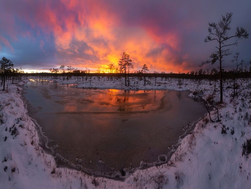 болото, карелия, зима, утро, рассвет, фототур, отражение Болотный ноябрь фото превью