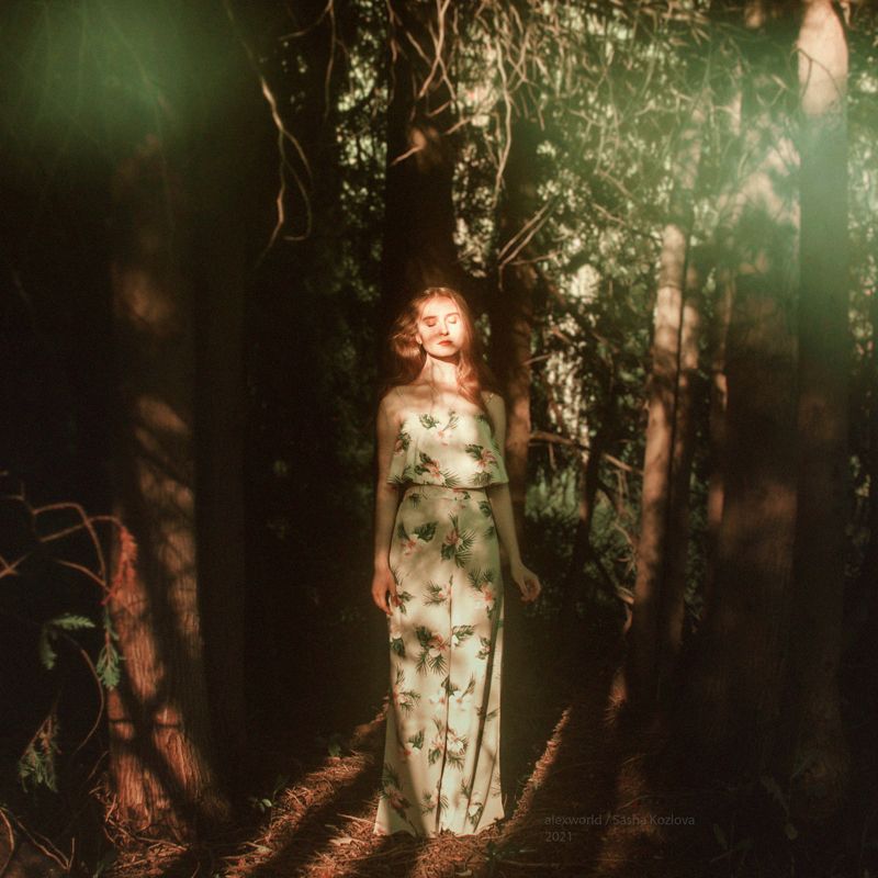 Untitledphoto preview