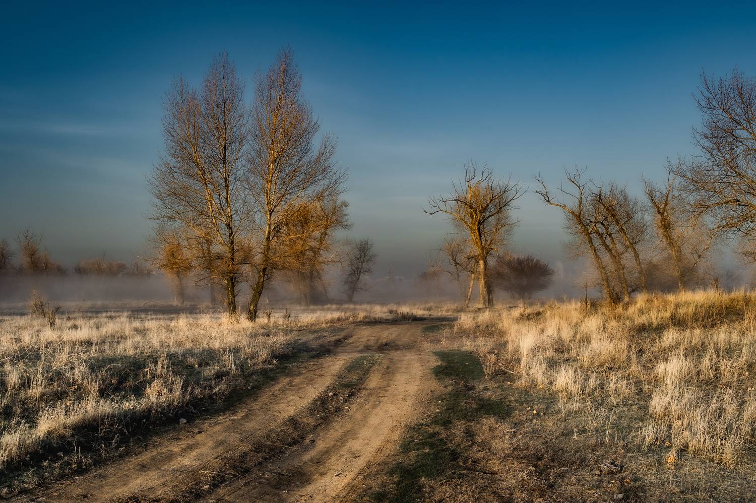 По дороге. Автор: Vasilev Roman утро,пейзаж,дорога, Vasilev Roman