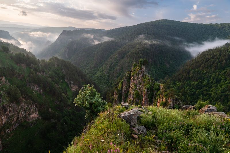 Аватарыphoto preview