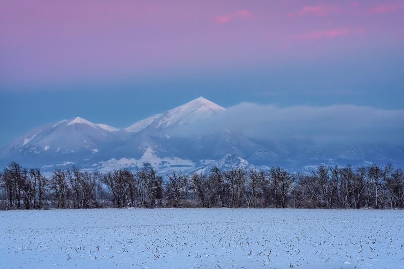кавказ, горы, вечер, закат, гора, зимний вечер, кмв, кавказские минеральные воды, бештау, пояс венеры Вечер, Бештау, зима...photo preview