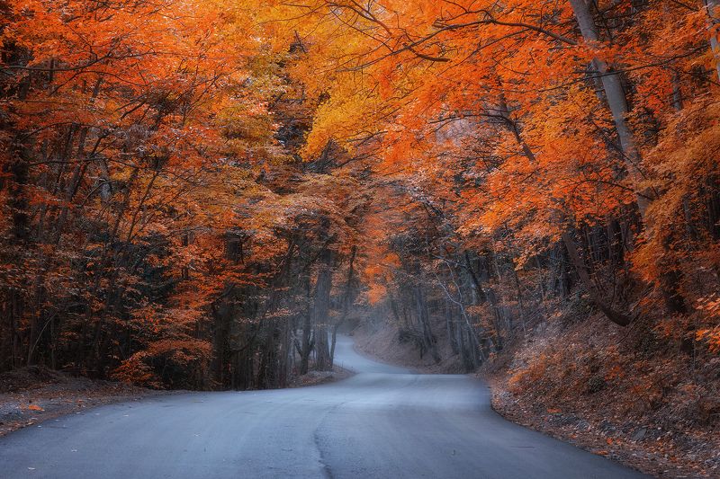 дорога на Ай-Петриphoto preview