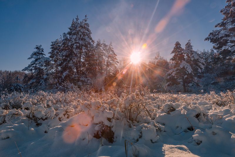 Мороз и солнце фото превью