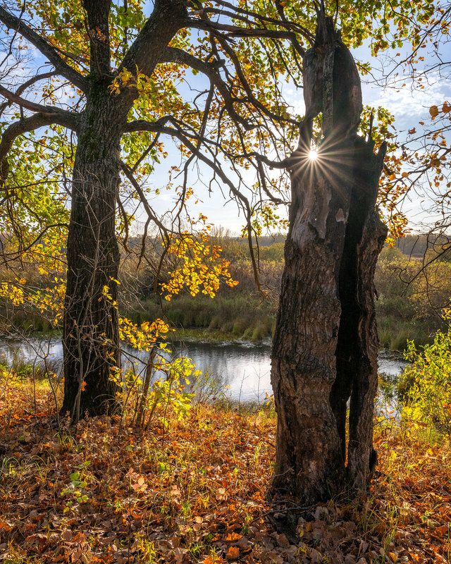 Погоня за осенними зайчикамиphoto preview