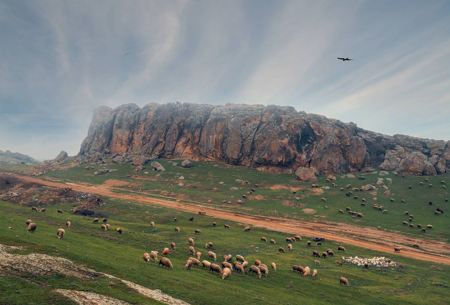 Горные мотивы... Автор: Magov Marat горы,овцы,дагестан,, Magov Marat