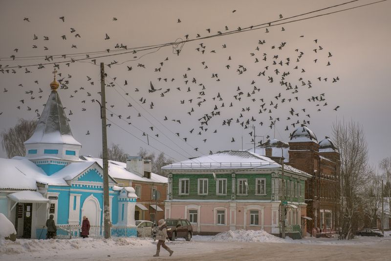 декабрь утро иней птицы  вязники  вязниковский район По своим деламphoto preview