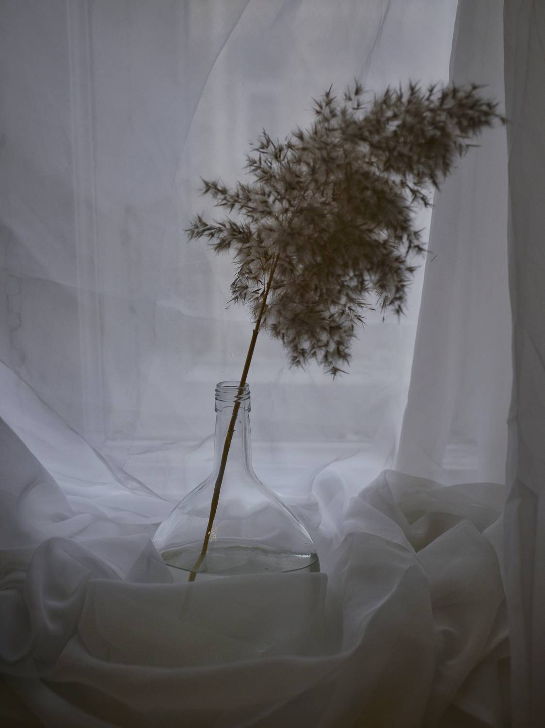 Бутыль. Автор: Алёна Таланова , Алёна Таланова