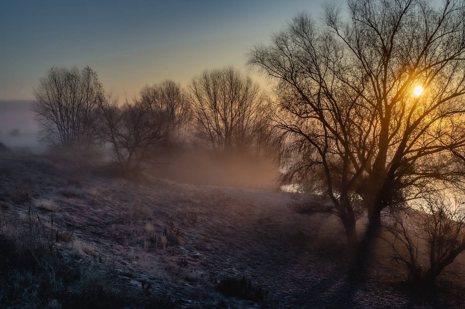 Рассвет. Автор: Vasilev Roman пейзаж,природа,рассвет,туман, Vasilev Roman