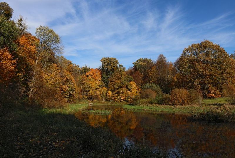 осень, лес, осенний лес, деревья, озеро, дорога, autumn, fall, forest, trees, wood, lake, road, autumnal forest, autumnal trees Осенние этюдыphoto preview